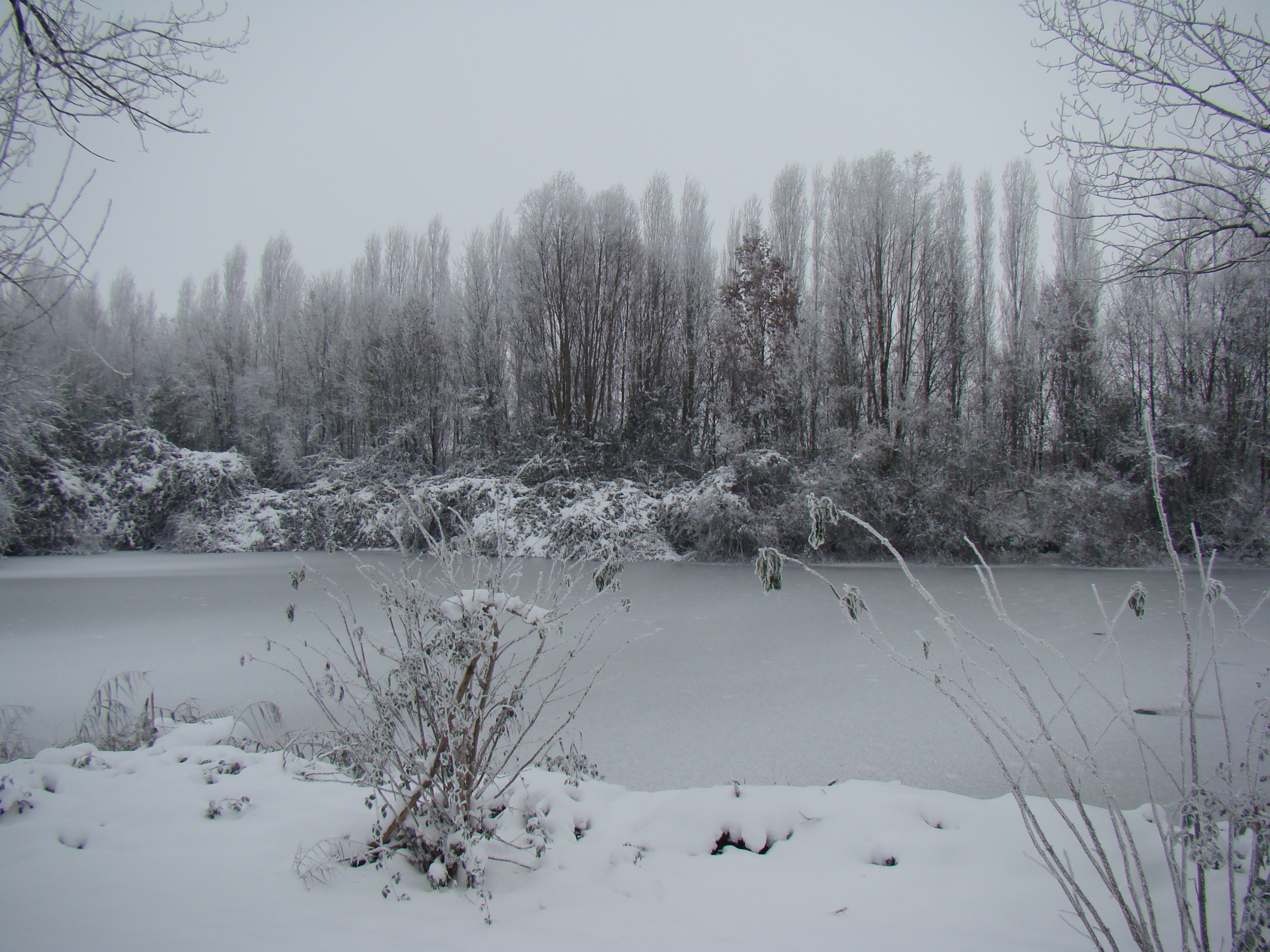 L'Inverno ammanta il Fiume di bianco e d'argento